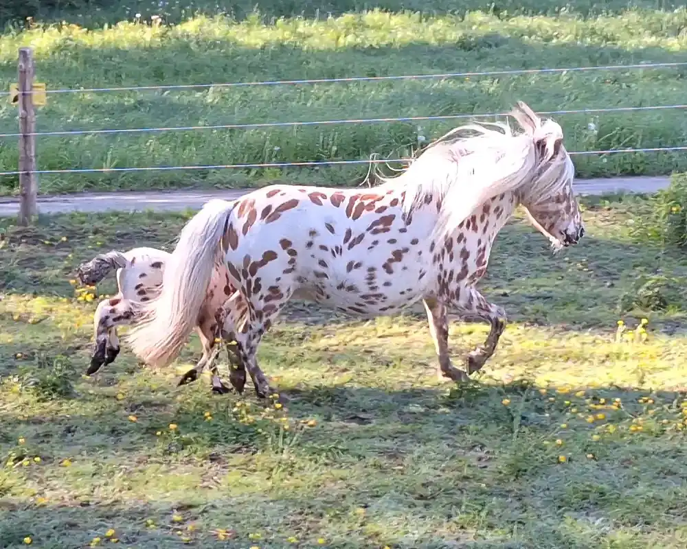 Sylvie van Stal`t Hofke